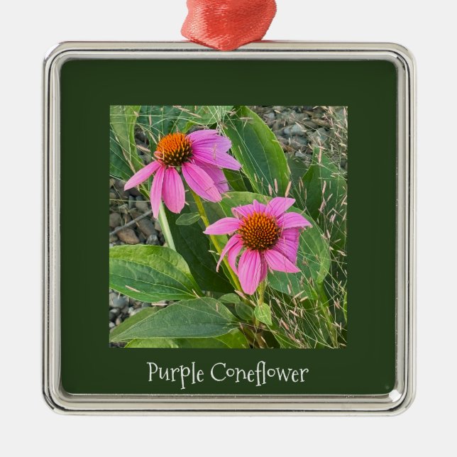 Purple Coneflowers Ornament  (Front)