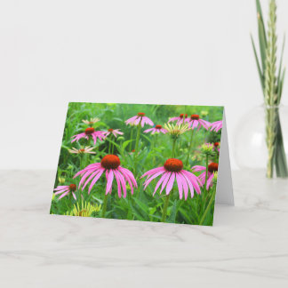 Purple Coneflowers Thank You Card