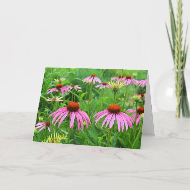 Purple Coneflowers Thank You Card (Front)