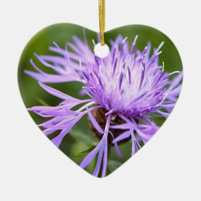Purple Cornflower Ceramic Tree Decoration (Front)