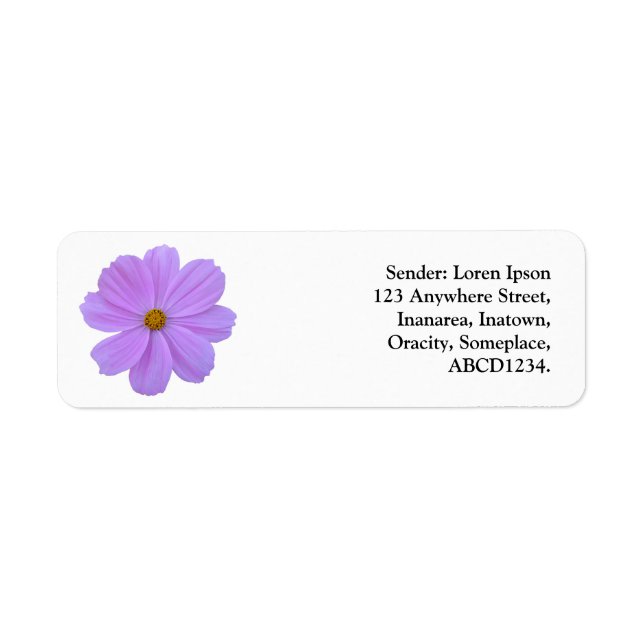 Purple Cosmos (Front)