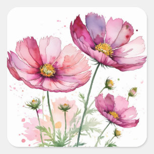 Purple cosmos flowers square sticker