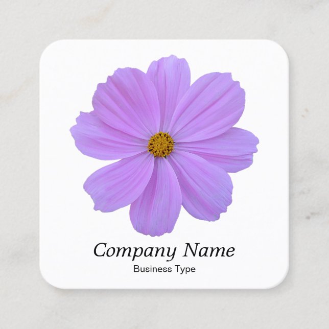 Purple Cosmos - White Square Business Card (Front)