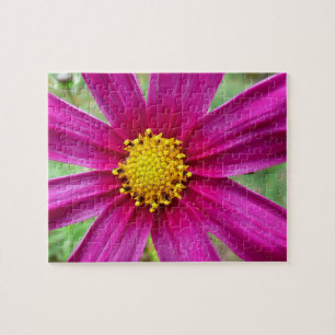 Purple Cosmos Wildflower Jigsaw Puzzle