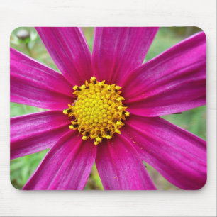 Purple Cosmos Wildflower Mouse Mat