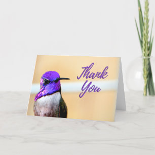 Purple Costa's Hummingbird Photo Thank You Card