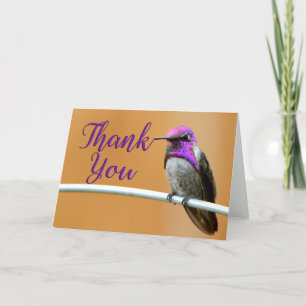 Purple Costa's Hummingbird Thank You Card