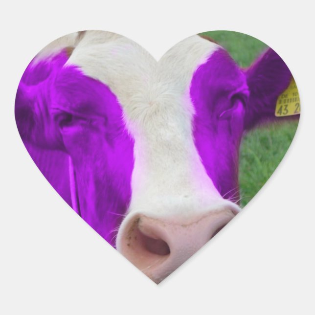 purple cow heart heart sticker (Front)