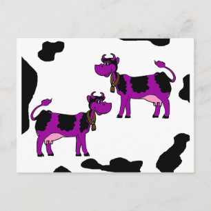 Purple Cow With Black And White Background Postcard