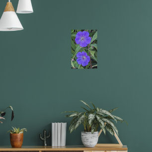 Purple Cranesbill Flowers Floral Poster