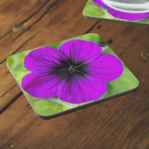 Purple Cranesbill Geranium Floral Coaster