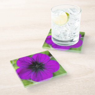 Purple Cranesbill Geranium Floral Glass Coaster