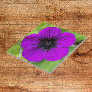 Purple Cranesbill Geranium Floral Tile