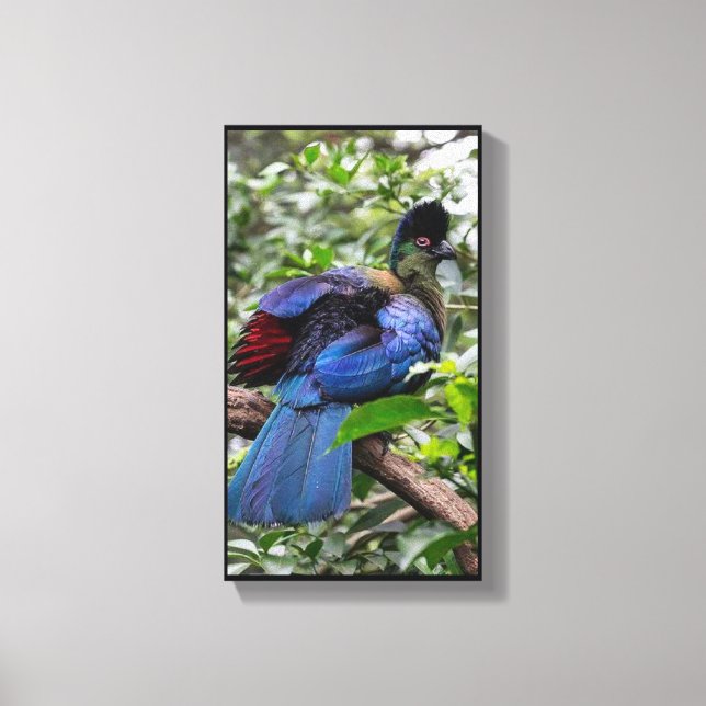 Purple-Crested Turaco Canvas Print (Front)