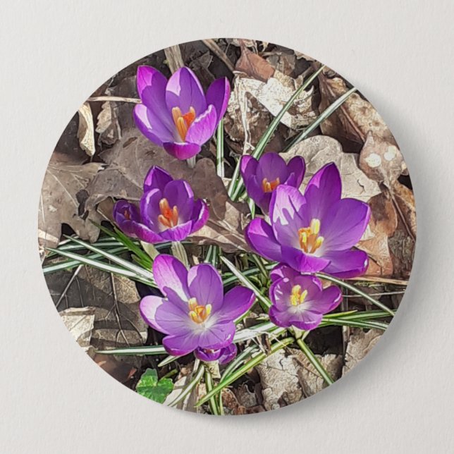 Purple Crocus 10 Cm Round Badge (Front)