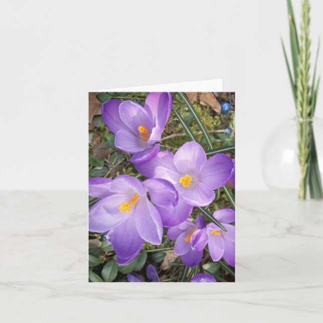 Purple Crocus Blank Note Cards (Front)