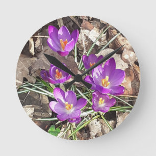 Purple Crocus Clock