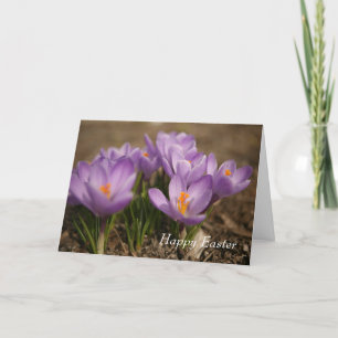 Purple Crocus Easter Greeting Card