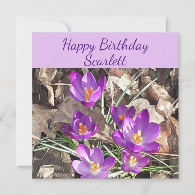 Purple Crocus Flat Birthday Card (Front)