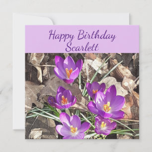Purple Crocus Flat Birthday Card