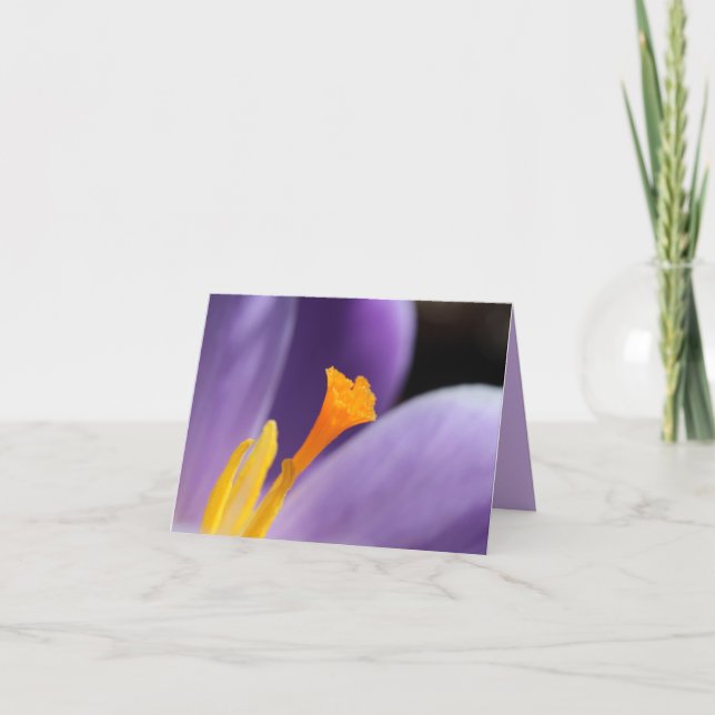 Purple Crocus Flower Saffron Stigma Thank you Card (Front)