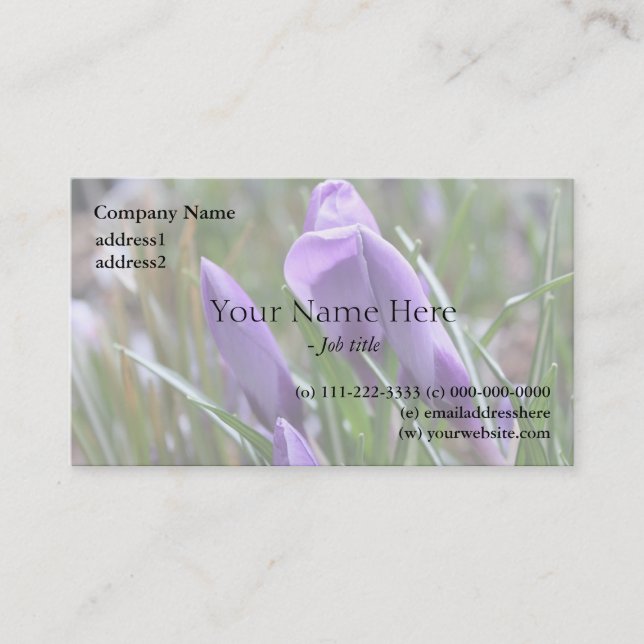 purple crocus flowers,番红花 business card (Front)