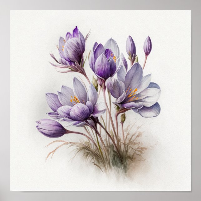 Purple Crocus Flowers Art Print Poster (Front)