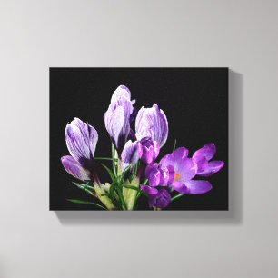 Purple crocus flowers boho modern digital fine art canvas print