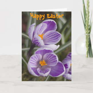 Purple crocus flowers ...  Easter card