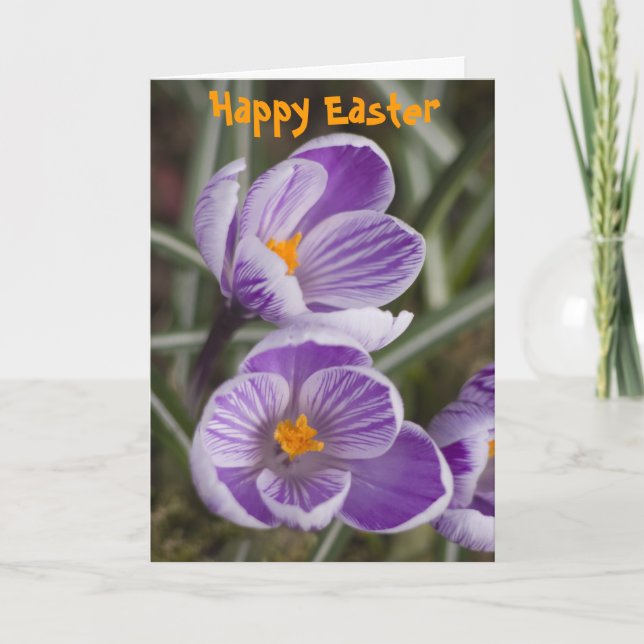 Purple crocus flowers ...  Easter card (Front)