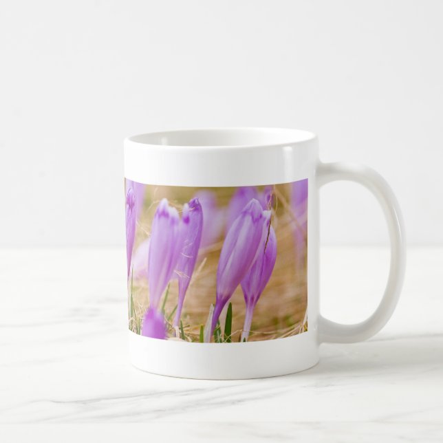 Purple Crocus Flowers in Grass Coffee Mug (Right)