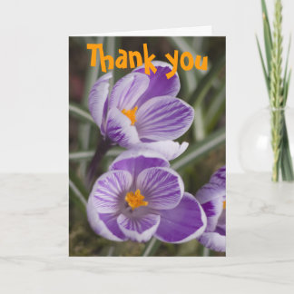 Purple crocus flowers ...  Thank you card