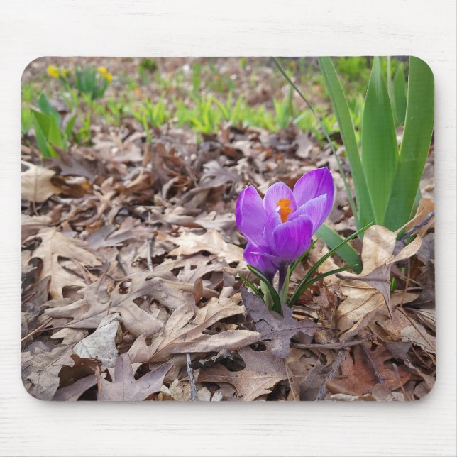 Purple Crocus in Leaves Mouse Mat (Front)