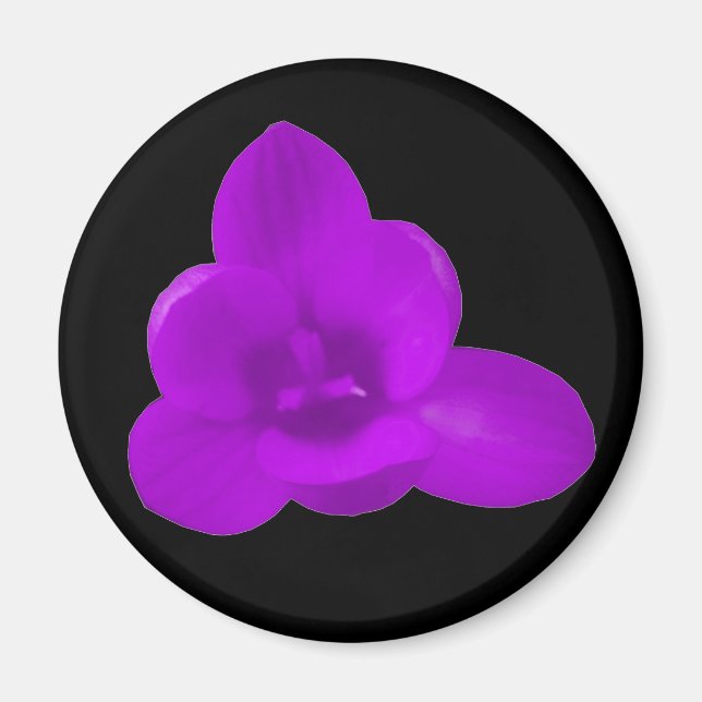 Purple Crocus Magnet (Front)