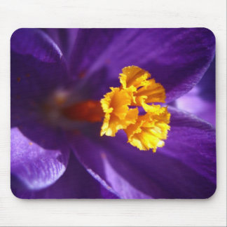 Purple Crocus Mouse Mat