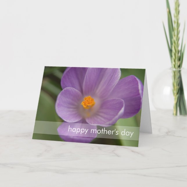 Purple Crocus PICT5930 Card (Front)