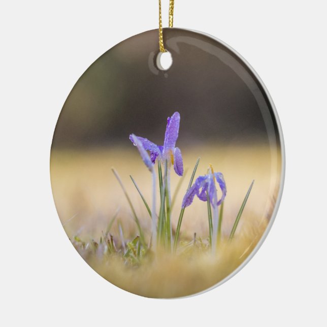 Purple Crocuses Nature Photo Ceramic Tree Decoration (Left)