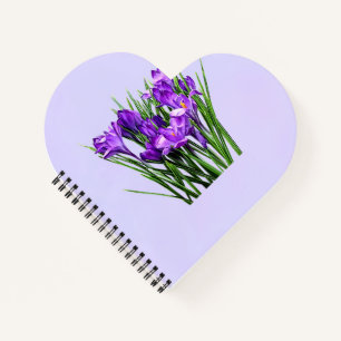 Purple Crocuses Notebook