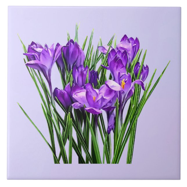 Purple Crocuses Tile (Front)
