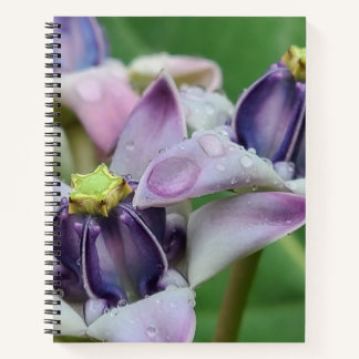 Purple Crown Flower Notebook