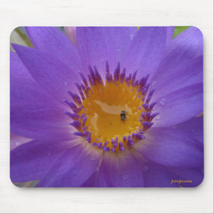 purple crown mouse mat