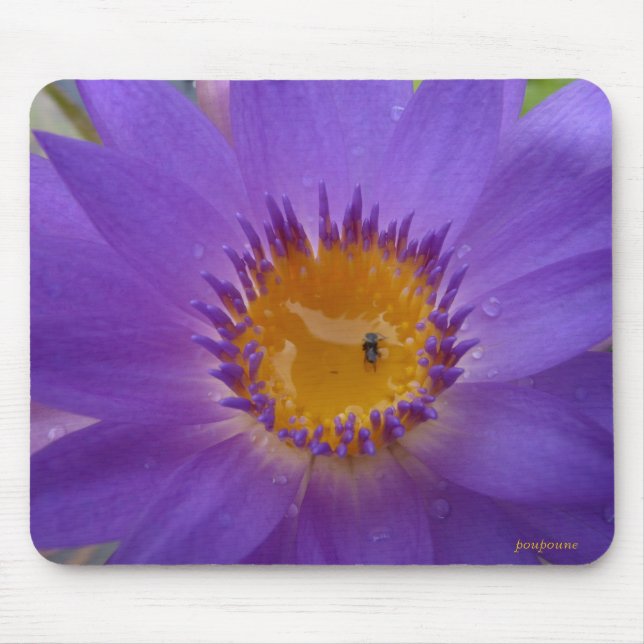 purple crown mouse mat (Front)