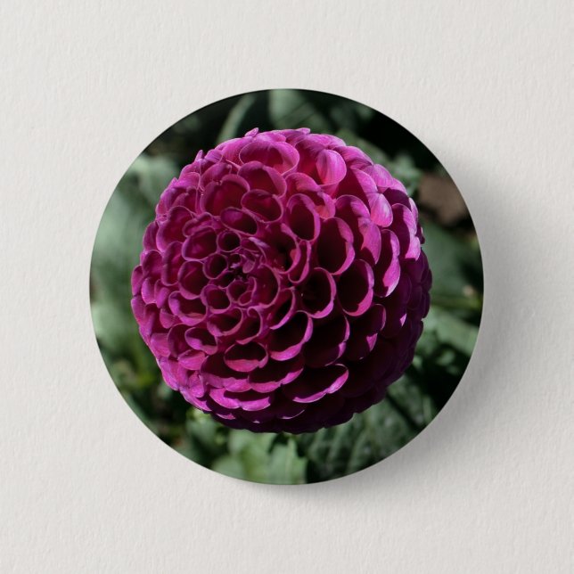Purple Dahlia Button (Front)