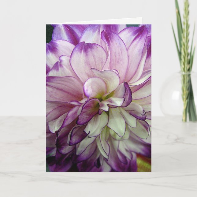 Purple Dahlia Design Blank Notecard (Front)