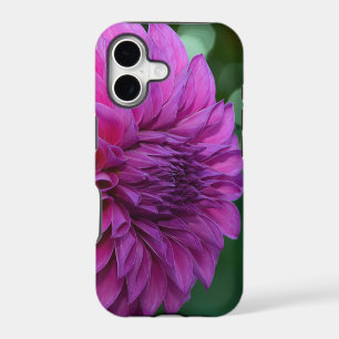 Purple dahlia flower