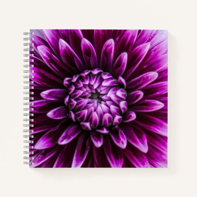 Purple Dahlia Heart   Notebook (Front)