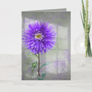 Purple Dahlia In Window Shadow Card