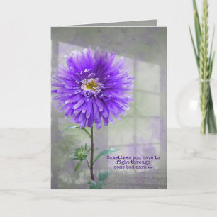 Purple Dahlia In Window Shadow Card