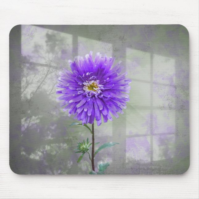 Purple Dahlia In Window Shadow Mouse Mat (Front)