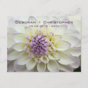 Purple Dahlia • RSVP Postcard